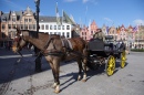 Carriage Rides in Bruges, Belgium