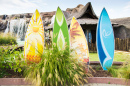 Hawaiian Surfboards