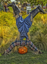 Upside Down Scarecrow