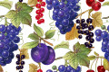 Grapes, Plums, Cherries and Berries