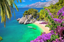 Punta Rata Beach, Dalmatia, Croatia